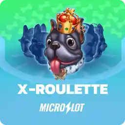 MicroSlot Game 40